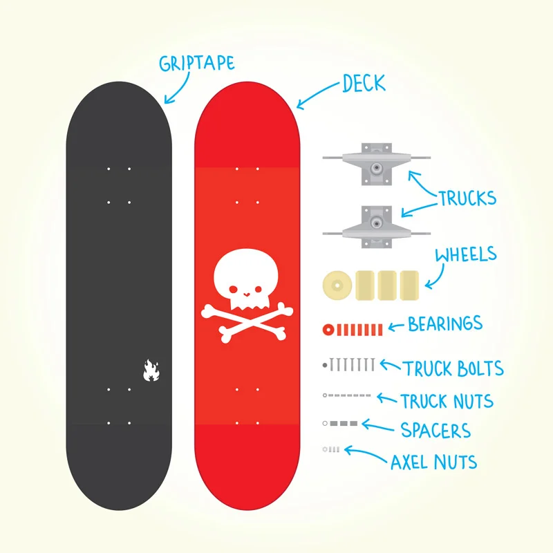 Skateboard breakdown